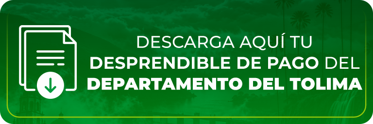 Desprendible de pago Tolima